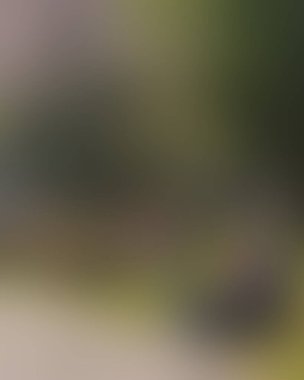 Renklerin soyut bulanık arkaplanı