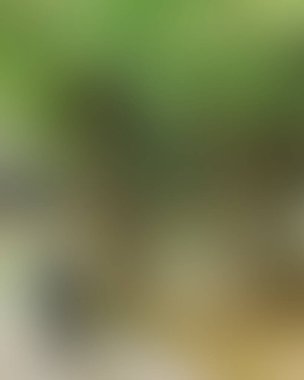 Renklerin soyut bulanık arkaplanı