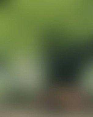 Renklerin soyut bulanık arkaplanı