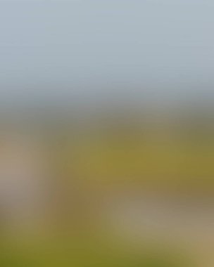 Renklerin soyut bulanık arkaplanı