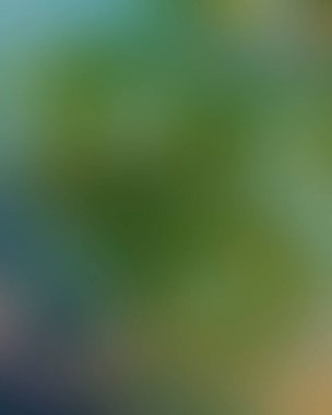 Renklerin soyut bulanık arkaplanı