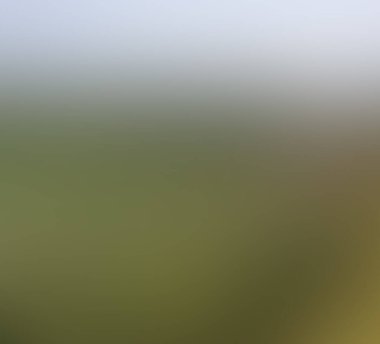 Renklerin soyut bulanık arkaplanı