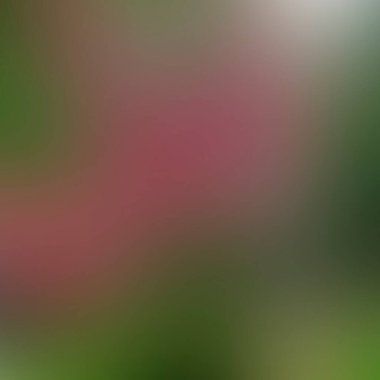 Renklerin soyut bulanık arkaplanı