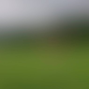 Renklerin soyut bulanık arkaplanı