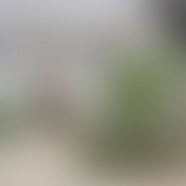 Renklerin soyut bulanık arkaplanı