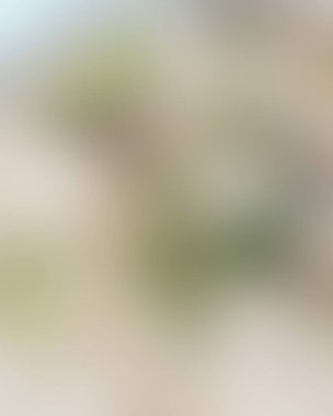 Renklerin soyut bulanık arkaplanı