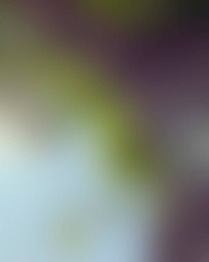 Renklerin soyut bulanık arkaplanı