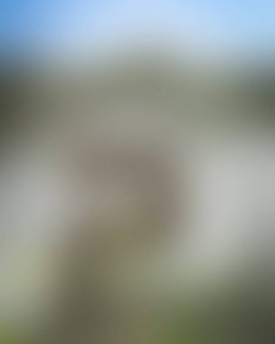 Renklerin soyut bulanık arkaplanı