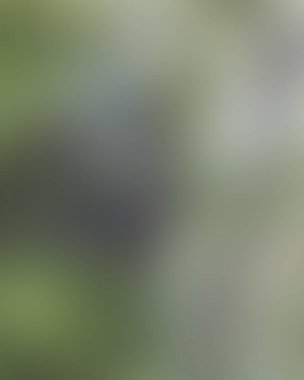 Renklerin soyut bulanık arkaplanı