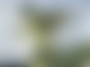 Renklerin soyut bulanık arkaplanı