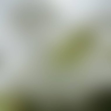 Renklerin soyut bulanık arkaplanı