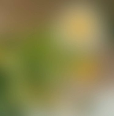 Renklerin soyut bulanık arkaplanı