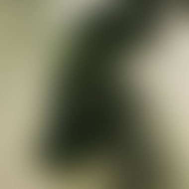 Renklerin soyut bulanık arkaplanı