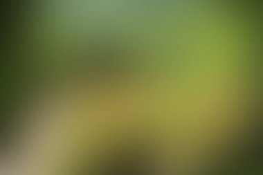 Renklerin soyut bulanık arkaplanı