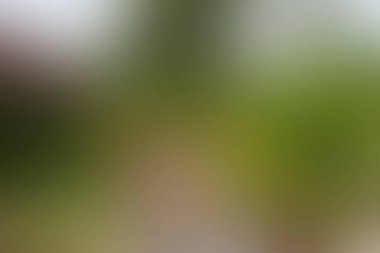 Renklerin soyut bulanık arkaplanı