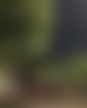 Renklerin soyut bulanık arkaplanı