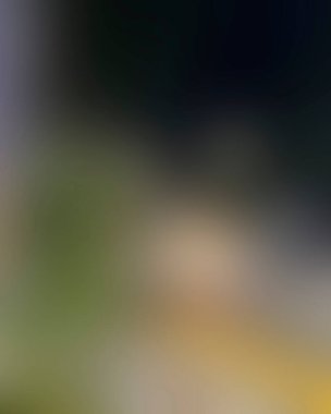 Renklerin soyut bulanık arkaplanı