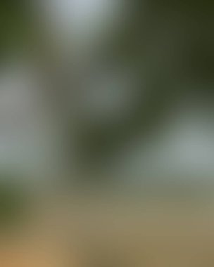 Renklerin soyut bulanık arkaplanı