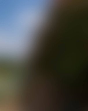 Renklerin soyut bulanık arkaplanı