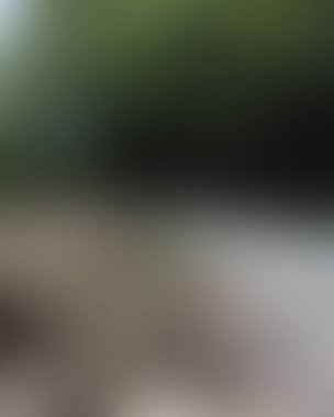 Renklerin soyut bulanık arkaplanı