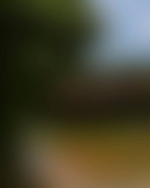 Renklerin soyut bulanık arkaplanı