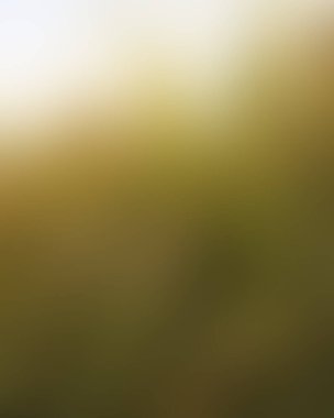 Renklerin soyut bulanık arkaplanı