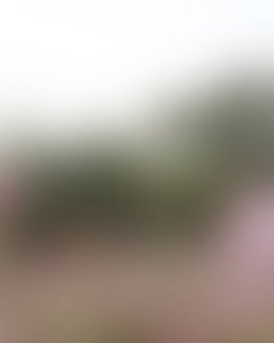 Renklerin soyut bulanık arkaplanı