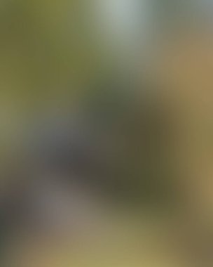 Renklerin soyut bulanık arkaplanı