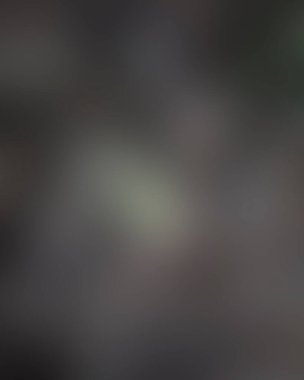 Renklerin soyut bulanık arkaplanı