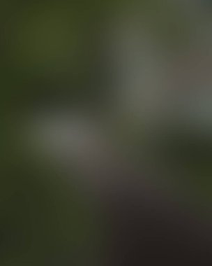 Renklerin soyut bulanık arkaplanı