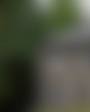 Renklerin soyut bulanık arkaplanı