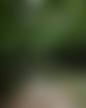 Renklerin soyut bulanık arkaplanı