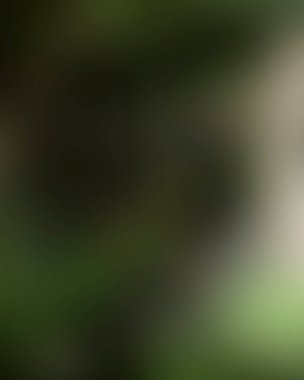 Renklerin soyut bulanık arkaplanı