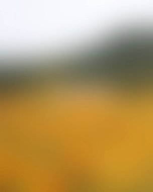 Renklerin soyut bulanık arkaplanı