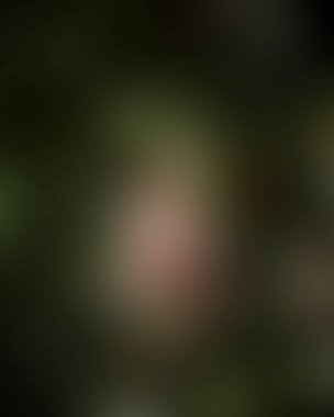 Renklerin soyut bulanık arkaplanı