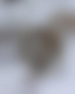 Renklerin soyut bulanık arkaplanı