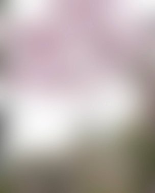 Renklerin soyut bulanık arkaplanı