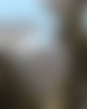 Renklerin soyut bulanık arkaplanı