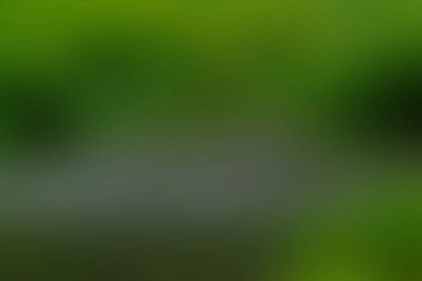 Renklerin soyut bulanık arkaplanı