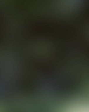 Renklerin soyut bulanık arkaplanı