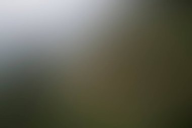 Renklerin soyut bulanık arkaplanı