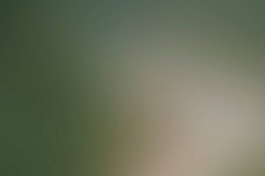 Renklerin soyut bulanık arkaplanı