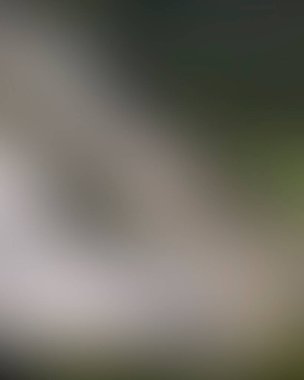 Renklerin soyut bulanık arkaplanı