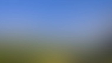 Renklerin soyut bulanık arkaplanı