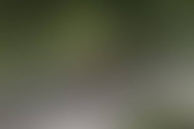 Renklerin soyut bulanık arkaplanı