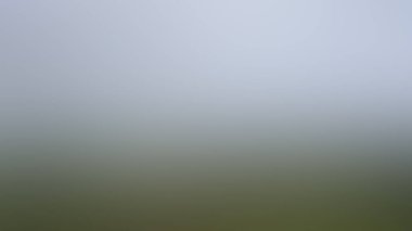 Renklerin soyut bulanık arkaplanı