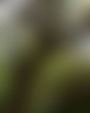 Renklerin soyut bulanık arkaplanı