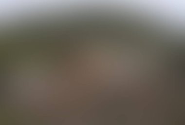 Renklerin soyut bulanık arkaplanı