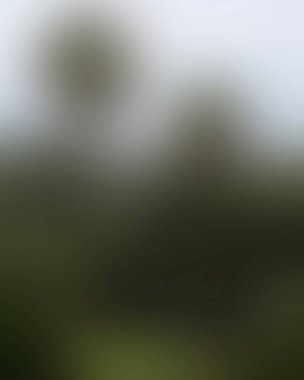 Renklerin soyut bulanık arkaplanı