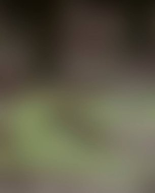 Renklerin soyut bulanık arkaplanı